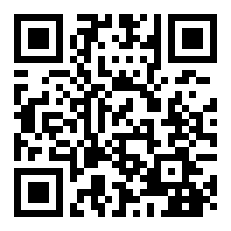 世界羽毛球锦标赛女双决赛战况？（女双）