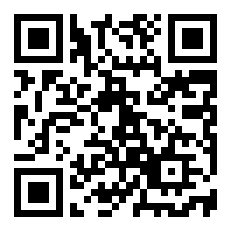 逆转裁判怎么设置中文配音