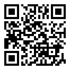 11年波什季后赛数据