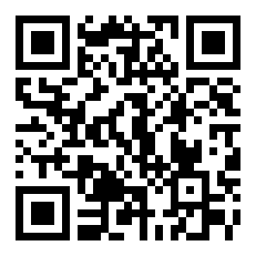 芬兰足球比赛记录