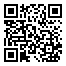 2011NBA总冠军是谁（2011赛季NBA总冠军）