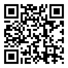 篮网队史最长连胜纪录