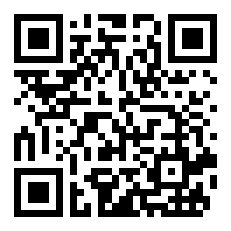 口袋妖怪绿宝石小智版最强格斗系