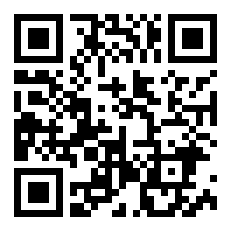 片断的衣服怎么样（宫宴华服的描述）