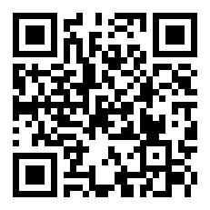 神隐双生 怪盗张二一