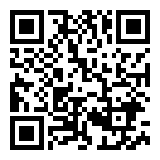 夜魅灵狐 熊猫娃儿