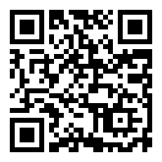 2011年中国选手参加的四大公开赛单打成绩最好的是？（2011年法网女单决赛）