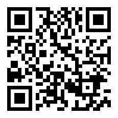 大宋之精忠岳飞 芙蓉王