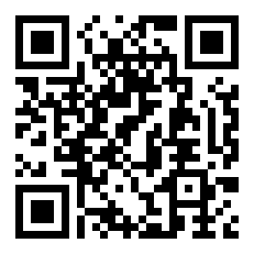 海贼王之白夜叉 Zippo