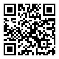 精致的近和反义词？