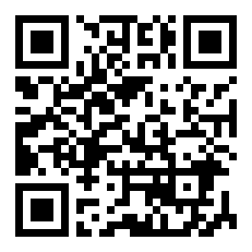 法外狂徒之素颜盗贼歌词？