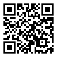 丐帮第十一代帮主