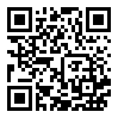 爱马仕birkin丝巾的绑法