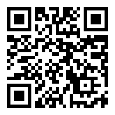 DS是什么意思啊