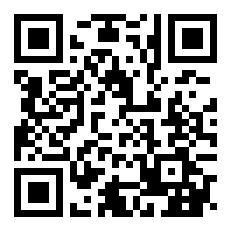 飞字是什么意思