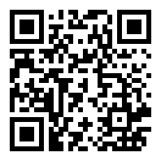 闪客快打  中文版详细介绍（暂未上线）