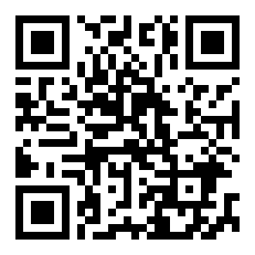 怒首领蜂  绿色版详细介绍（暂未上线）