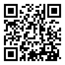 RaysysQDarkStudio  4.1详细介绍（暂未上线）