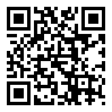 傻瓜王爷睿智妃