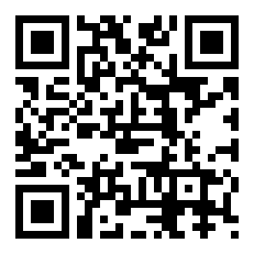 2002年巴西队世界杯名单解析？（德尼尔森）