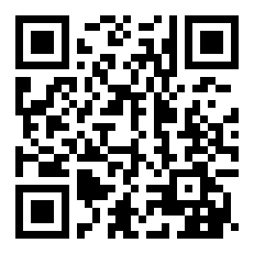 十大非主流语言