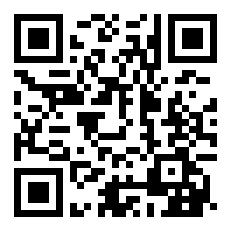 少先队拿队旗的姿势