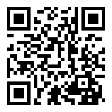 巴西球员迭戈是什么水平